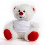 דובי בינוני להדפסה תמונה אישית לפי בחירתכם