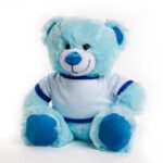 דובי בינוני להדפסה תמונה אישית לפי בחירתכם